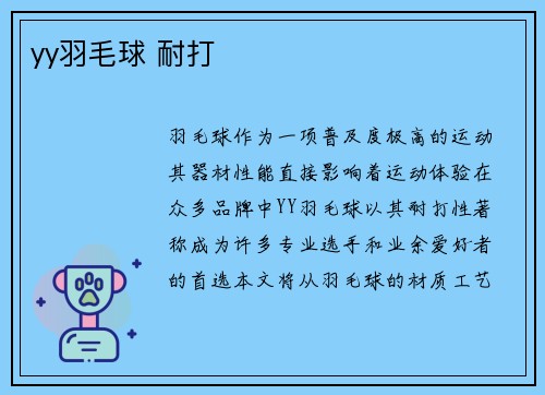 yy羽毛球 耐打
