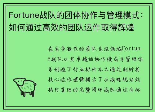 Fortune战队的团体协作与管理模式：如何通过高效的团队运作取得辉煌