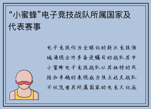 “小蜜蜂”电子竞技战队所属国家及代表赛事