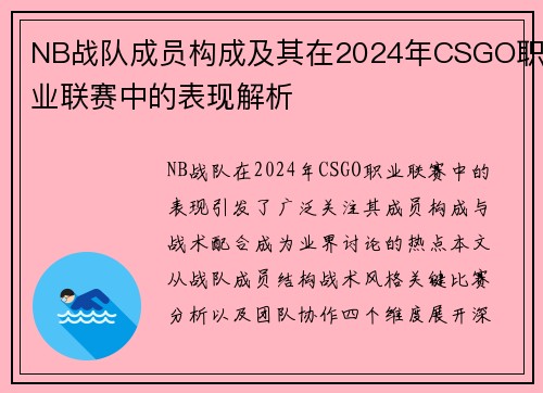 NB战队成员构成及其在2024年CSGO职业联赛中的表现解析