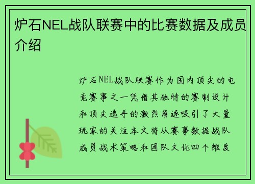炉石NEL战队联赛中的比赛数据及成员介绍
