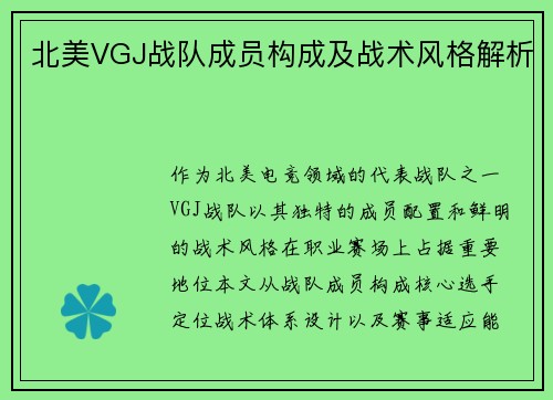 北美VGJ战队成员构成及战术风格解析